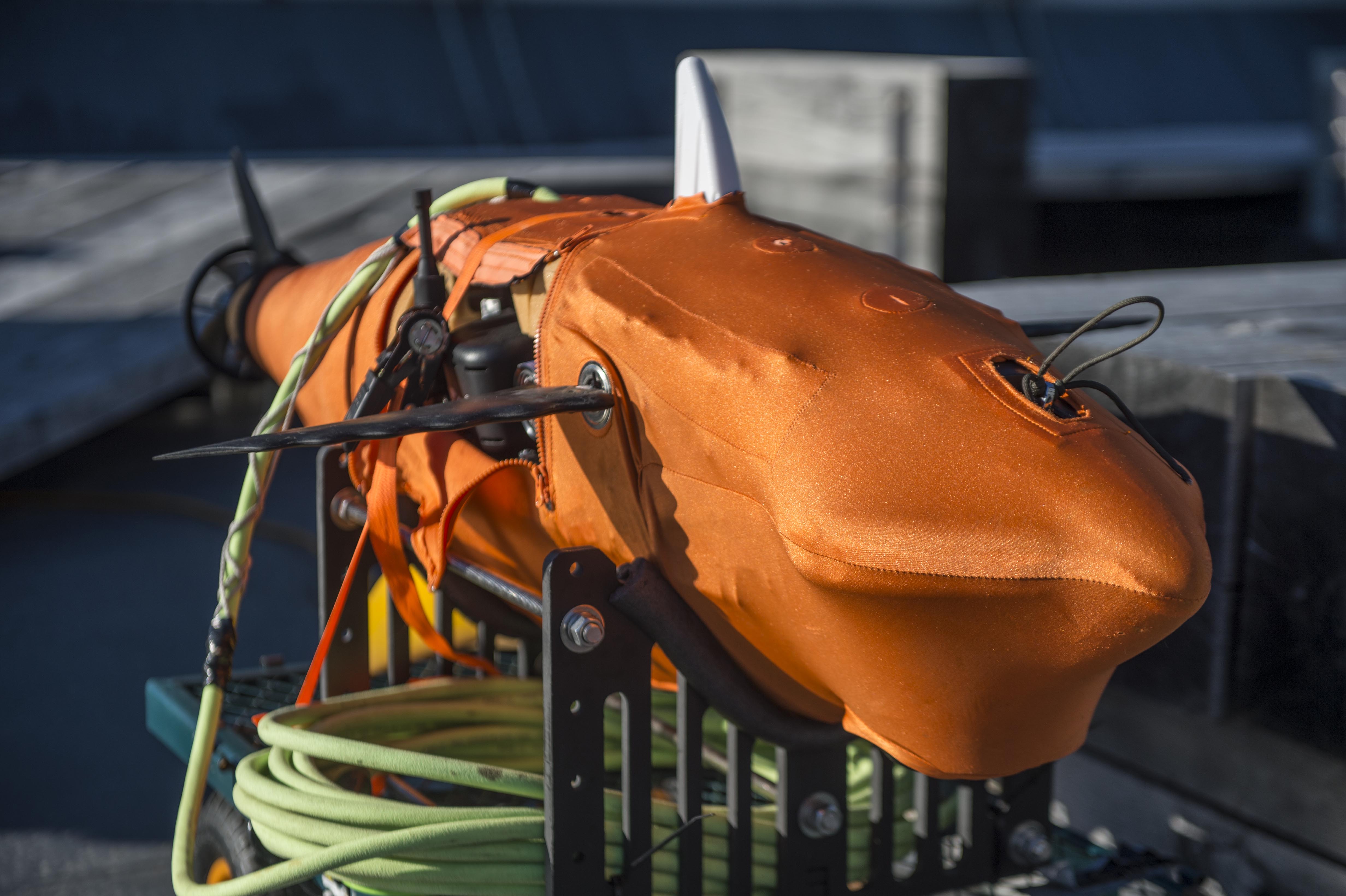 A variant model of the GhostSwimmer vehicle developed by the Chief of Naval Operations Rapid Innovation Cell project Silent NEMO, awaits testing during a demonstration at Joint Expeditionary Base Little Creek - Fort Story. Project Silent NEMO is an experiment which explores the possible uses for a biomimetic device developed by the Office of Naval Research.  (U.S. Navy photo by Mass Communication Specialist 3rd Class Edward Guttierrez III/Released) 