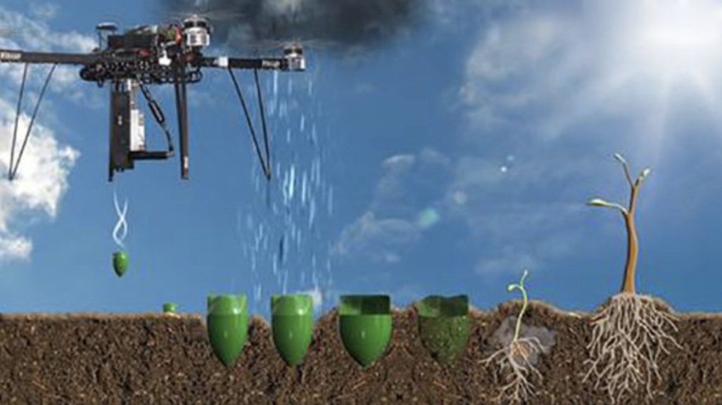 These Drones Designed to Plant Mangrove Trees and Help an Ecosystem - Inside Unmanned Systems