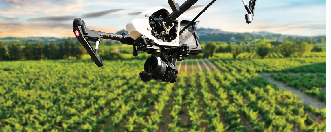 drones and agriculture