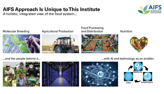 Inside AI: Food Processing And Distribution In The Era Of Artificial ...