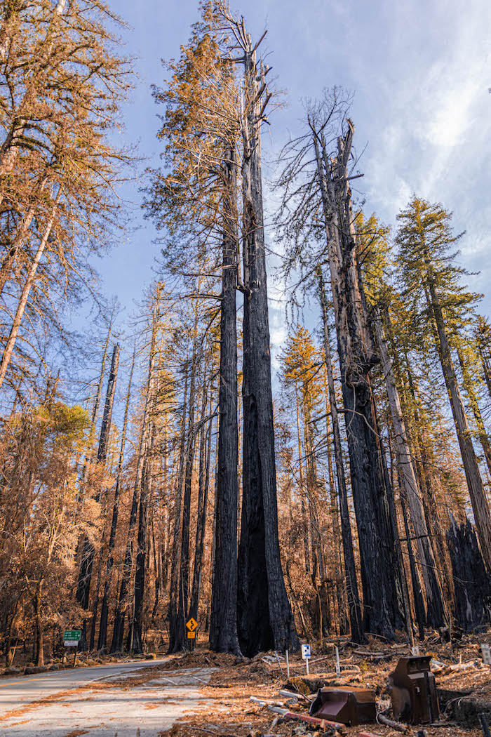 Mapping the Big Basin