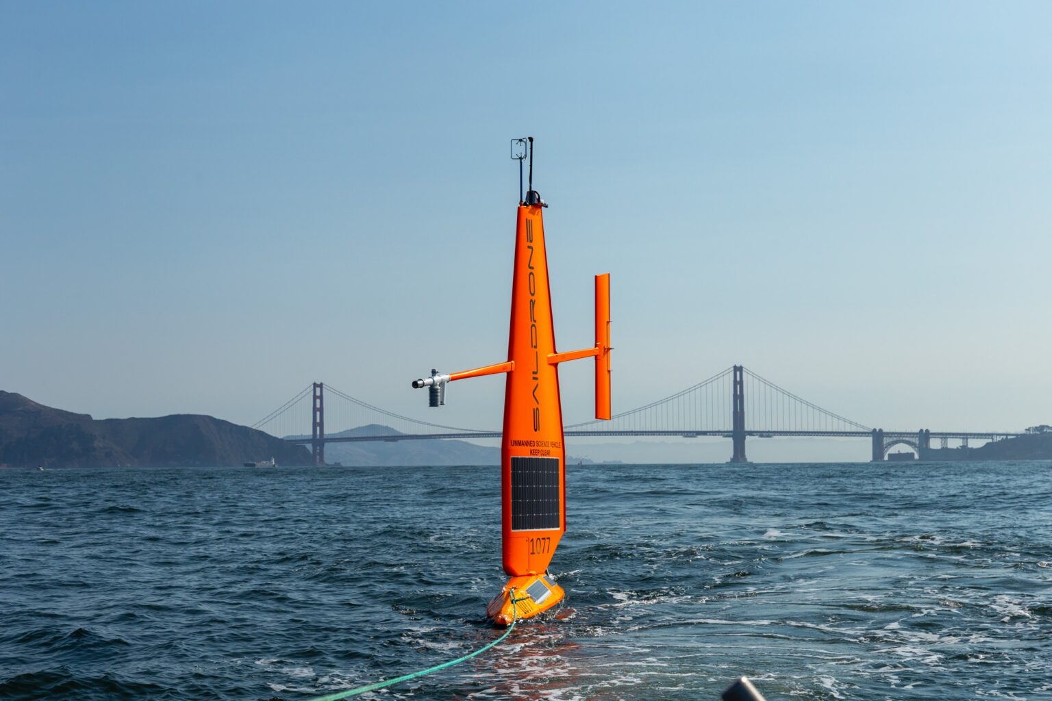 Saildrone Completes Unique Mission To Detect Bats At Sea Using Autonomous Vehicles Inside 8073